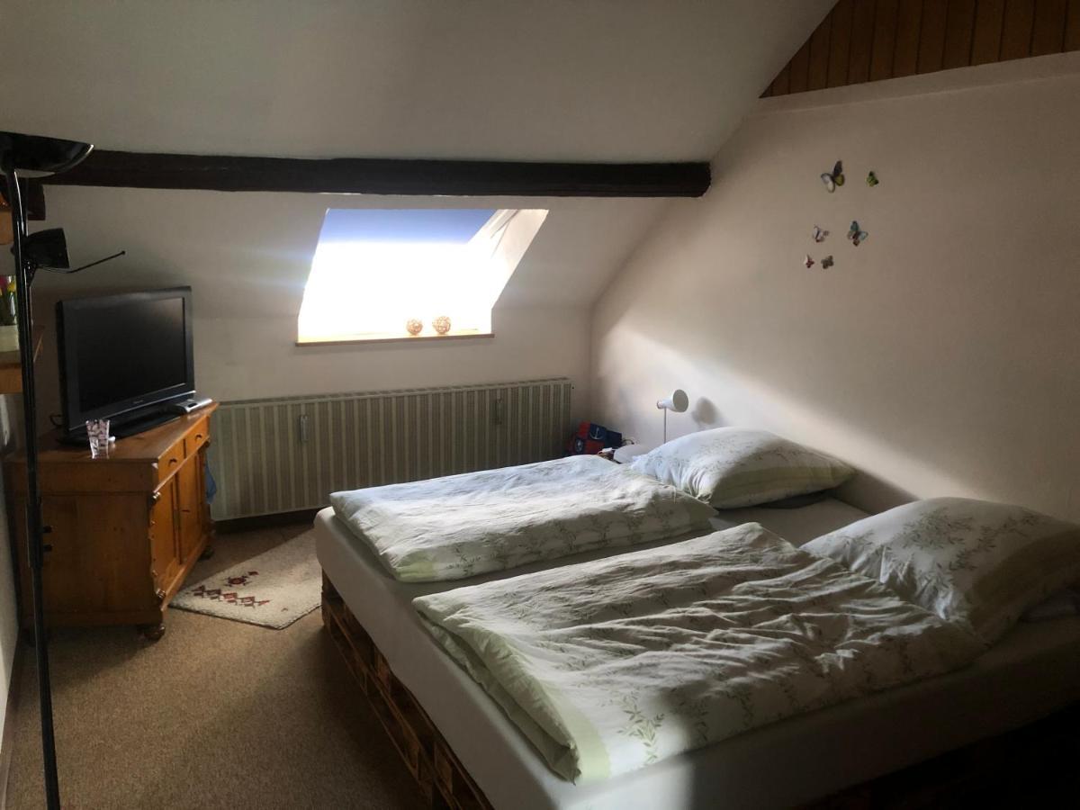 Ironico Homestay 4 Schlafzimmer Ferienwohnung 100 M2 Nahe Bostalsee Eisen  Экстерьер фото
