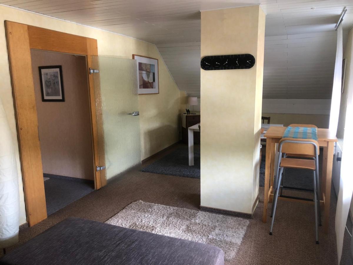 Ironico Homestay 4 Schlafzimmer Ferienwohnung 100 M2 Nahe Bostalsee Eisen  Экстерьер фото